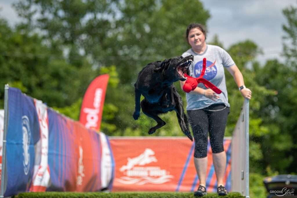 dog dock jumping