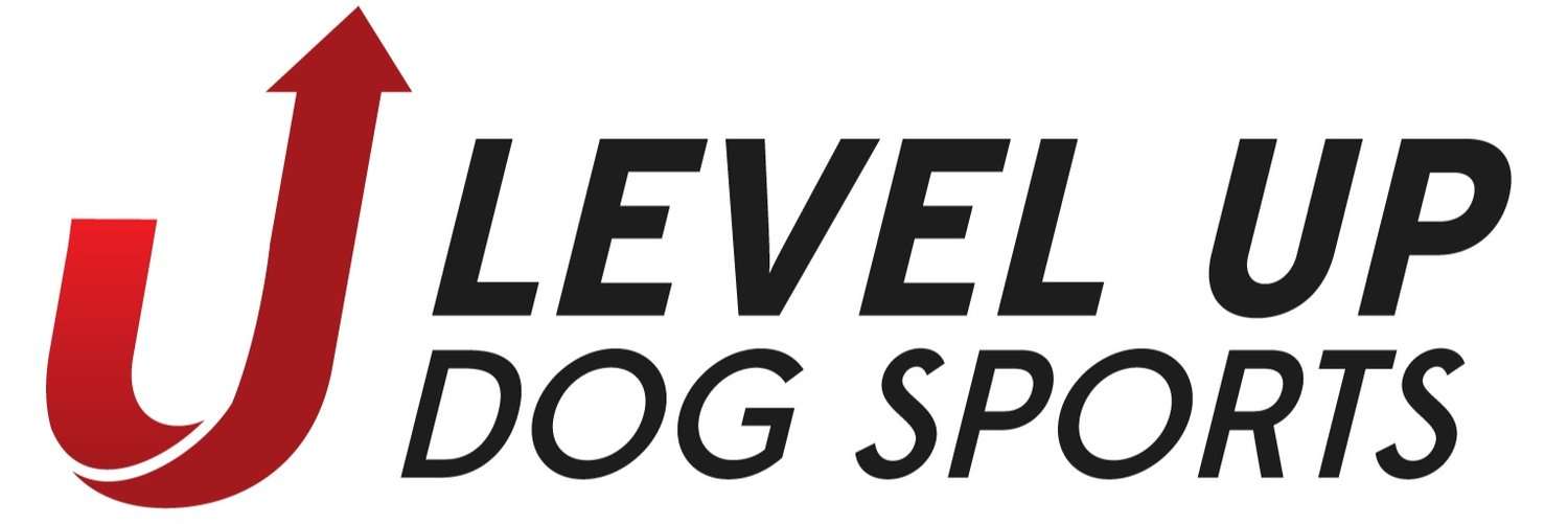 LevelUp Branding Final 04