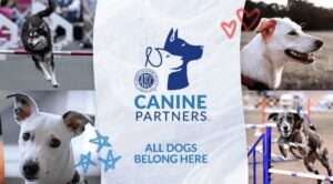 akc canine partners program