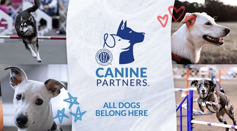 akc canine partners program