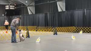 rally obedience trial