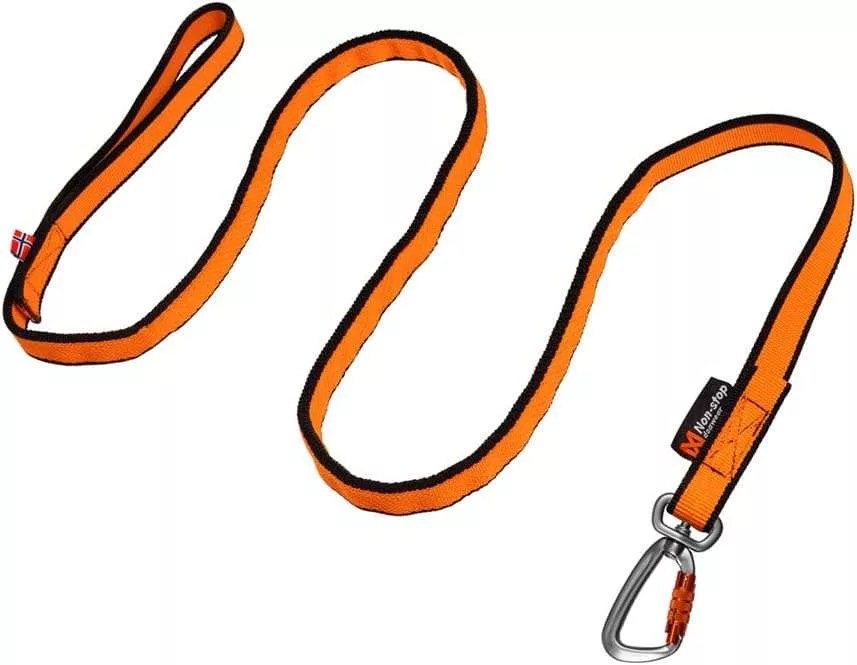 bikejoring bungee leash