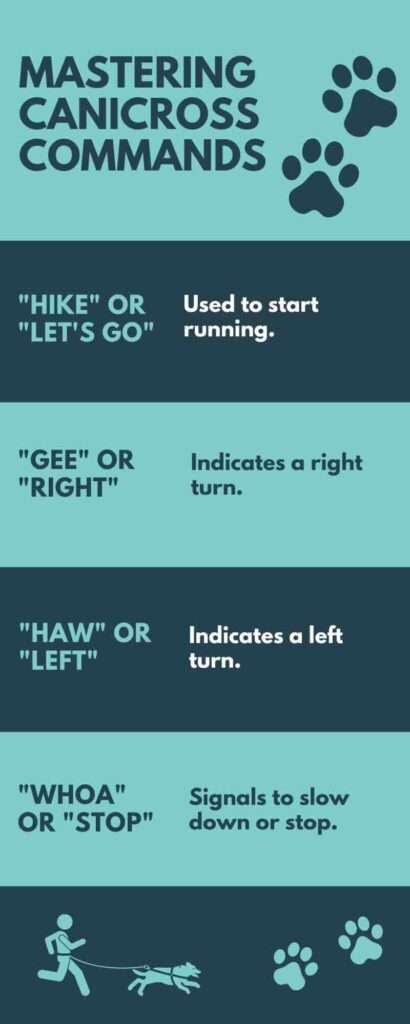 teaching Canicross commands