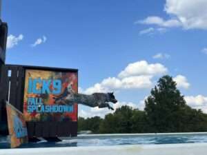 dock diving dog sport