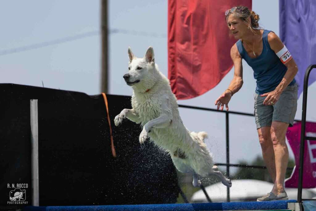 benefits of dock diving