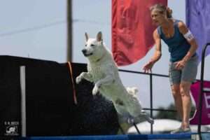 benefits of dock diving