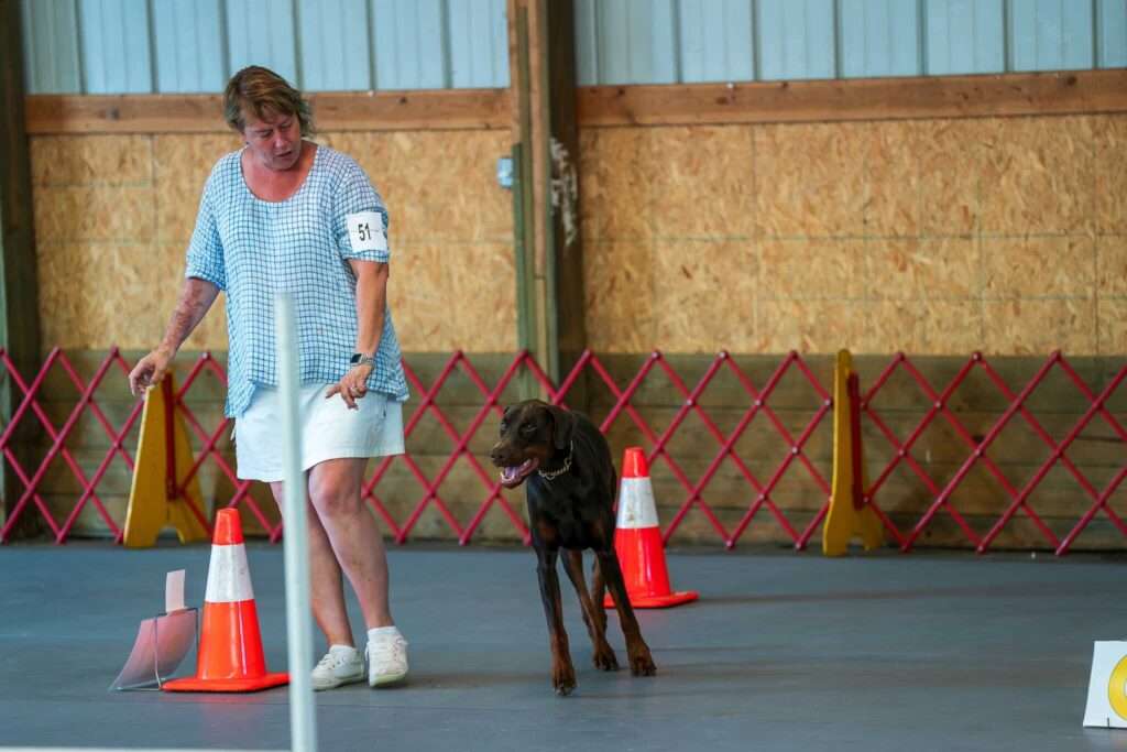 Virtual rally obedience