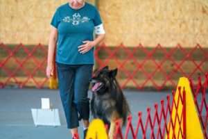 akc rally obedience