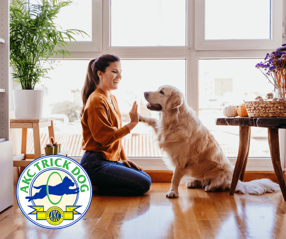 akc trick dog