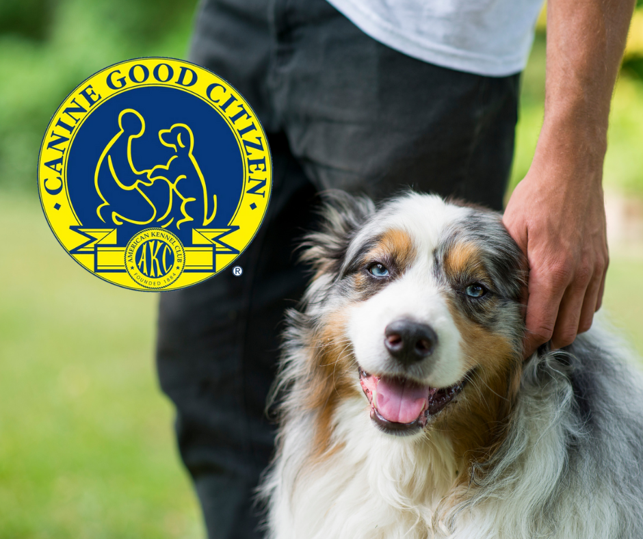 Canine Good Citizen CGC