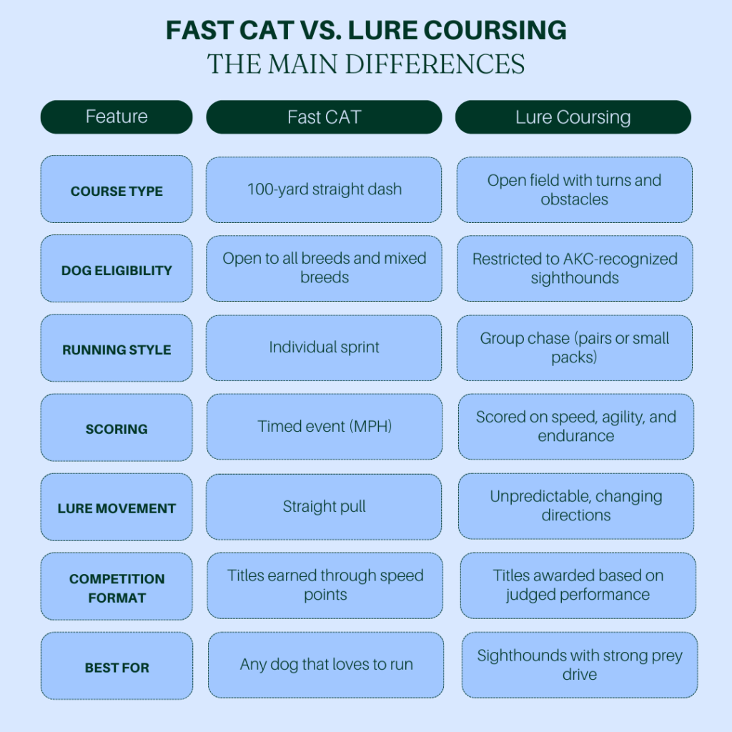 Fast CAT vs. Lure Coursing