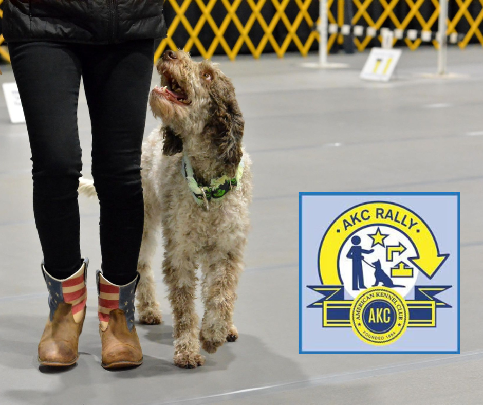 AKC Virtual Rally Title