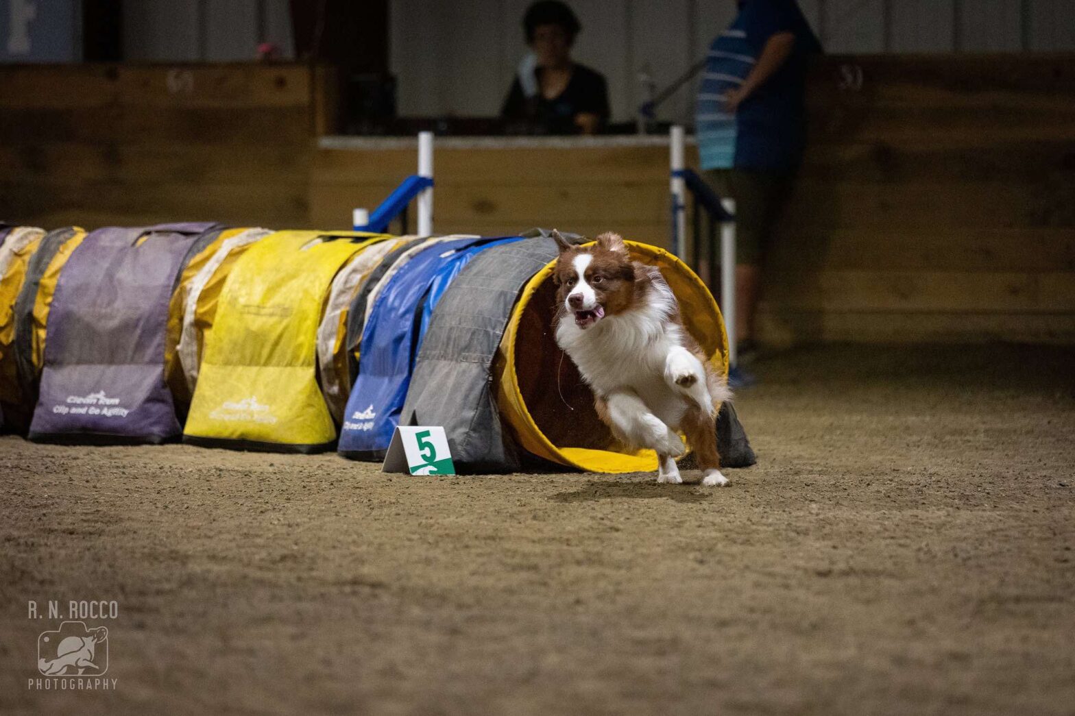 dog agility tunnels