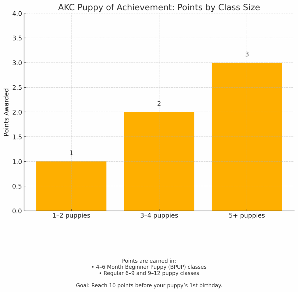 AKC Puppy of Achievement