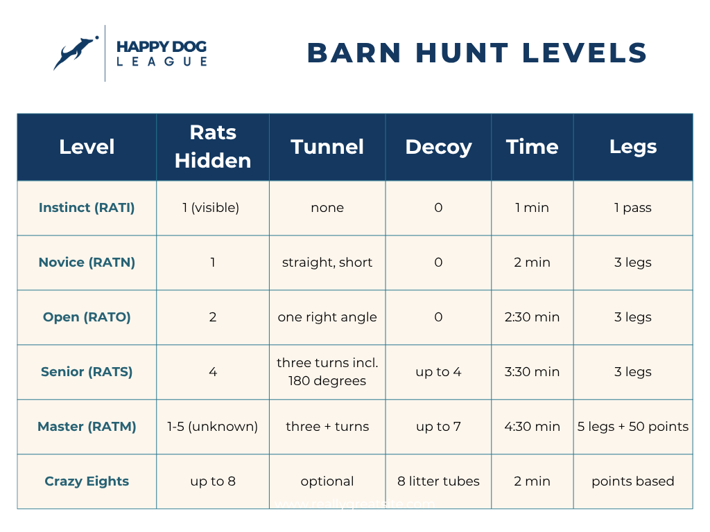 barn hunt titles