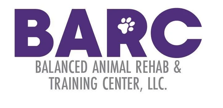 465461920 122097646526606834 4042062010068849919 n.jpeg