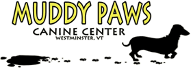 logo muddypaws